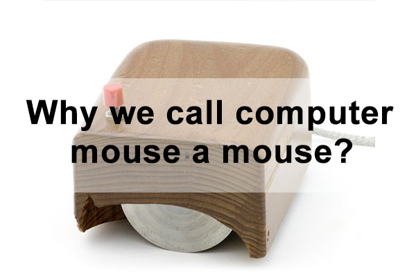 Why we call computer mouse a mouse
